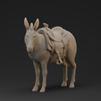 0111.png Donkey