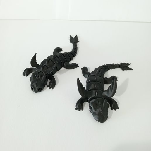 IMG20240531113618.jpg FLEXI TOOTHLESS DRAGON ARTICULATED