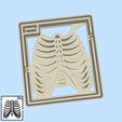 55-2.jpg Science and technology cookie cutters - #55 - x-ray radiology: thorax