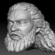 5.jpg Bruiser Brody action figure head