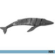 ARTICULATE_WHALE_06.png FLEXI ARTICULATED WHALES