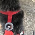 IMG_6160.jpeg Apple AirTag zip tie mount/holder - the best for DOGS and pets :)
