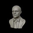 08.jpg Dwight D Eisenhower Portrait Sculpture 3D print model
