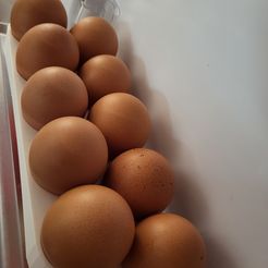 20230911_180708.jpg Egg tray for 10 eggs
