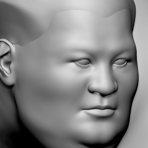 fighting sumo 3D model