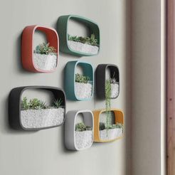 Simple_Wall_Vase_Succulent_Plant_Potted_Wall_mounted_Multifunction.jpg A cool pot wall planter