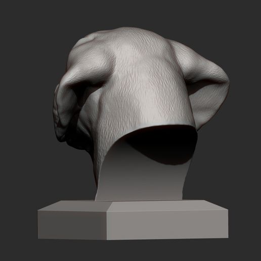 Labrador7.jpg Labrador Modèle d'impression 3D