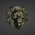 MetalLionHead.jpg Metal Lion Head 3D Scan