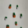IMG_4397.jpg Imanes de nevera con cactus
