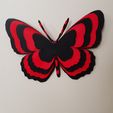 20180530_163440.jpg STL file butterflies・3D printing model to download, catf3d