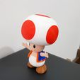 06.jpg Toad from Mario games - Multi-color