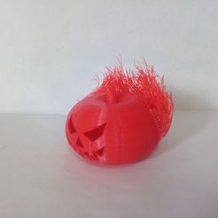 P_20181030_121938.jpg Citrouille poilue