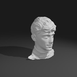 CL2A.png Charles Leclerc Premium Statue