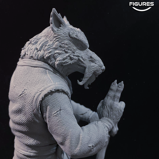 22.png Splinter - TMNT