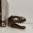 image1-16.jpeg Yutyrannus - Dinosaur Skull
