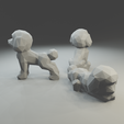4.png Low polygon toy poodle 3D print model  in three poses