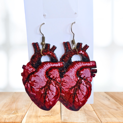 heart-earrings-1.png Anatomical Heart Earrings / Pendant Commercial Use