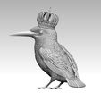 34534534534553.jpg Kingfisher bird