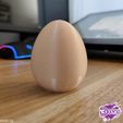 hfgdjgfhdjj-00;00;00;00-3.jpg Fichier 3D Mignon lapin de Pâques ( Sans support )・Plan pour impression 3D à télécharger