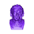 Einstein_bust.stl Bust Albert Einstein Skull