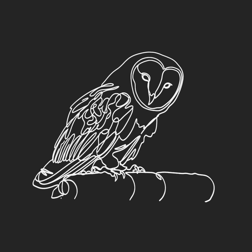 Barn Owl 2 lineart 3d printed