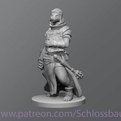 9ea6834f69fef26c7d2415ebf1bd77f6_display_large.jpg Free STL file Ferret cleric・3D printable model to download