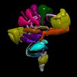 10.jpg 3D Brodmann Conceptual Model