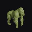 gorilla_0003.jpg Gorilla