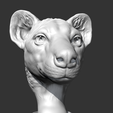 03.png Hyena Head AM14 3D print model