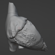 18.png 3D Model of Heart wirh Atrioventricular Septal Defect, 4 chamber view