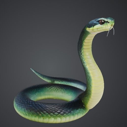 snake