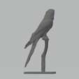 4.png Parrot Tree 3D print model