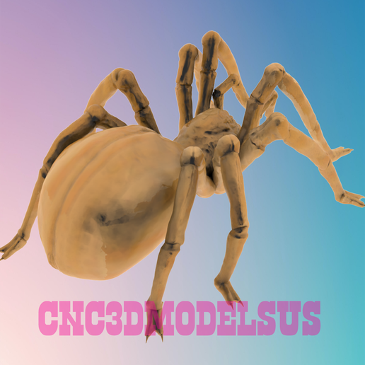 3.png SPIDER 1 3D MODEL STL FILE FOR CNC ROUTER LASER & 3D PRINTER