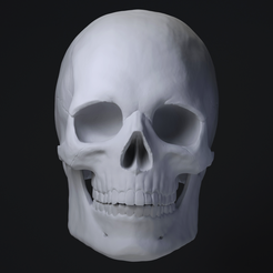 1.png STL file Skull・3D printer model to download
