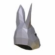 Rabbit_mask_04.jpg Rabbit mask