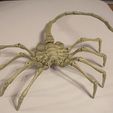 FaceHugger1_display_large.jpg Fichier STL gratuit Agisisis Ultimate Alien Face Hugger (40po x 23po - TAILLE VIE !)・Modèle pour impression 3D à télécharger