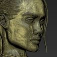 lara-croft-angelina-jolie-bust-ready-for-full-color-3d-printing-3d-model-obj-mtl-stl-wrl-wrz (43).jpg Lara Croft Angelina Jolie bust ready for full color 3D printing