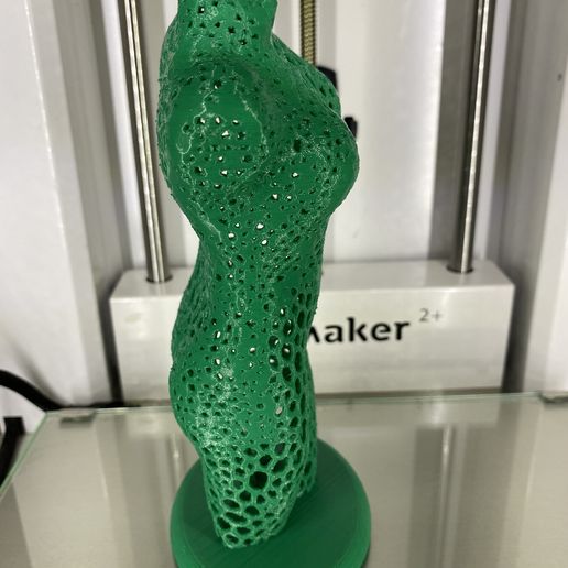 IMG_0816.jpg STL file Female torso (voronoi)・3D printing design to download, RaimonLab