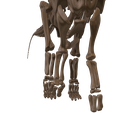 15.png Argentinosaurus : Esqueleto completo