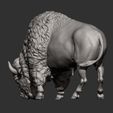 bison12.jpg Bison 3D print model