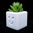LRM_EXPORT_20171213_170905.jpg Happy Planter / 3D printed planter