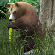 0_00052.png Bear DOWNLOAD Bear 3d model - animated for blender-fbx-unity-maya-unreal-c4d-3ds max - 3D printing Bear Bear