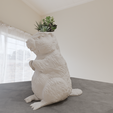 marmot-standing-planter-3.png marmott standing planter pot flower vase stl file 3d print file