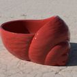005.jpg Shell Planter