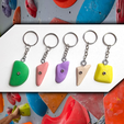 climbing_wall_stones_keychan_present_gift_style_life_design_sports_obj_fbx_ma_lwo_3ds_3dm_01.png Climbing Wall Stones, keychain.