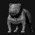 05.jpg Bulldog model 3D print model