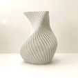Photo-11-01-2024,-09-37-40.jpg Organic-shaped spiral vase