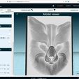 paras2.JPG Fox Face - Patrick Seymour
