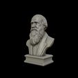 20.jpg Charles Darwin portrait sculpture 3D print model