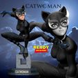 PTT Me Cl es or ee Catwoman stylized